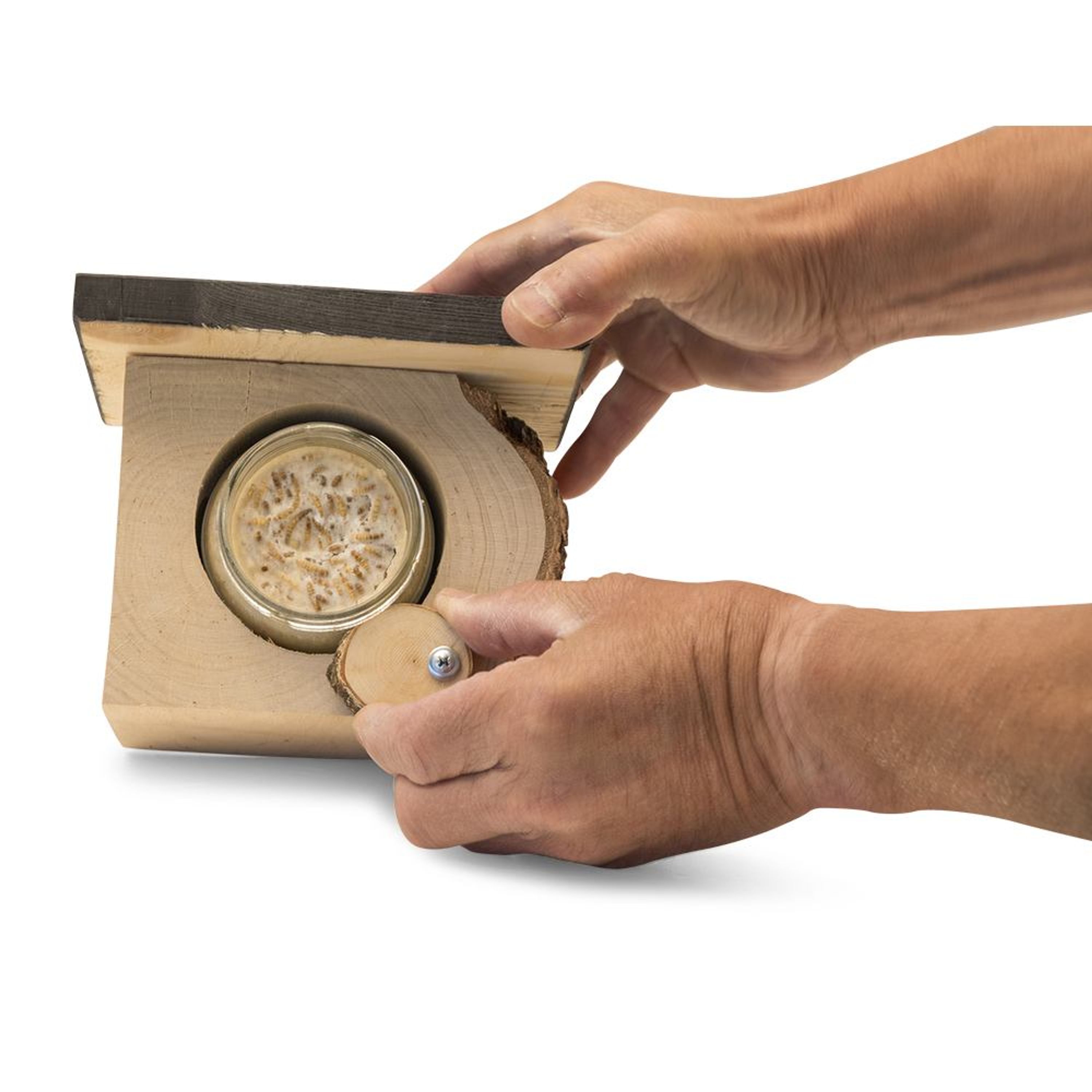 Erdnussbutter-Halter Montreal | CJ Wildlife